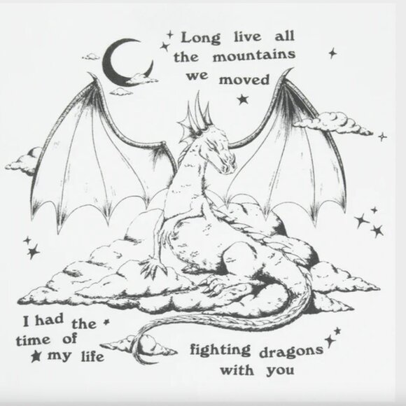 Taylor Swift NEW Fighting Dragons with You Hoodie Size S - Picture 2 of 3